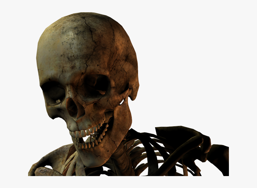 Skull, HD Png Download
