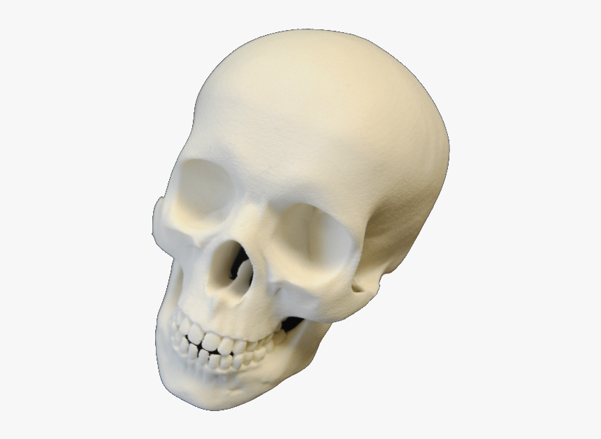 Makerbot Desktop 5th Generation 3d Printer - Skull, HD Png Download