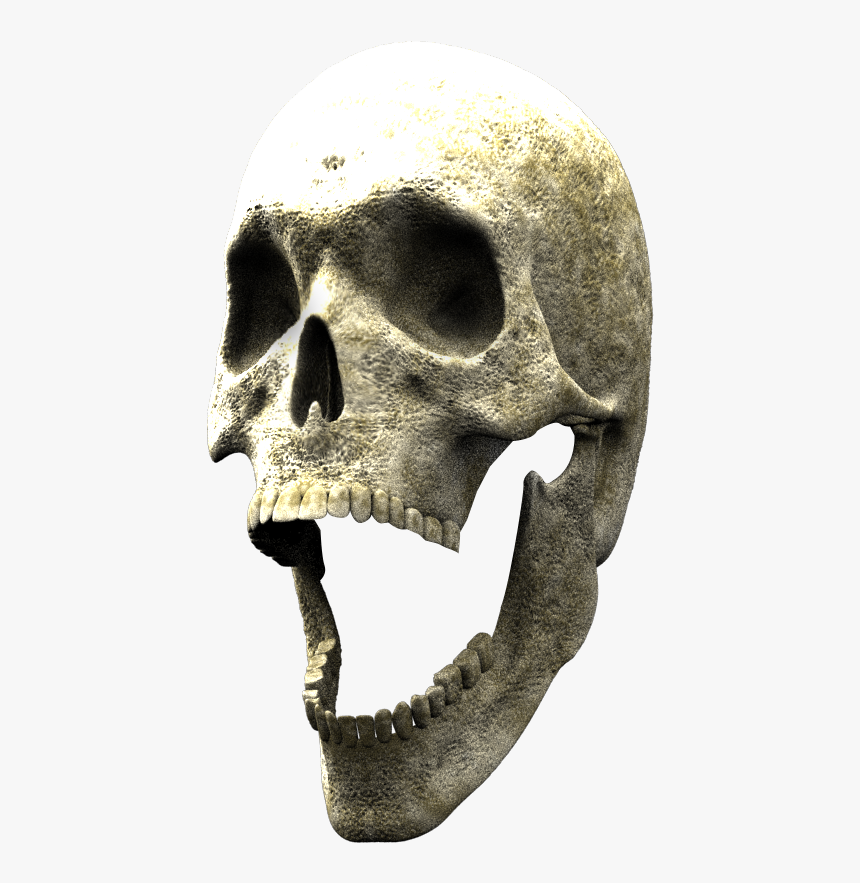 Skull, HD Png Download