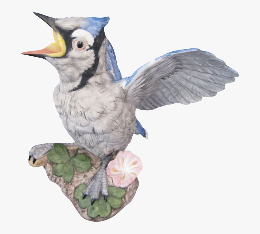 Transparent Blue Jay Png - Blue Jay, Png Download