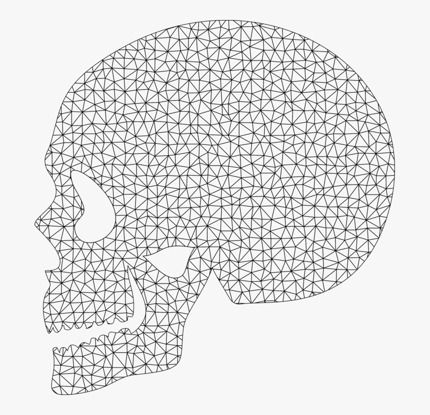 Line Art,head,angle - Structured Vs Unstructured Mesh, HD Png Download