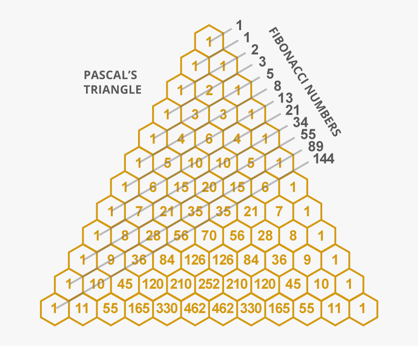 Galton Board Pascal's Triangle, HD Png Download , Transparent Png Image ...