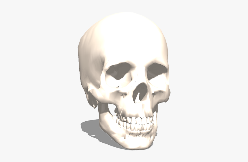 3d Printer Skull Model, HD Png Download
