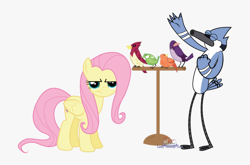 Lastsecondhero, Bird, Blue Jay, Constance, Crossover, - Mlp Crossover With Regular Show, HD Png Download