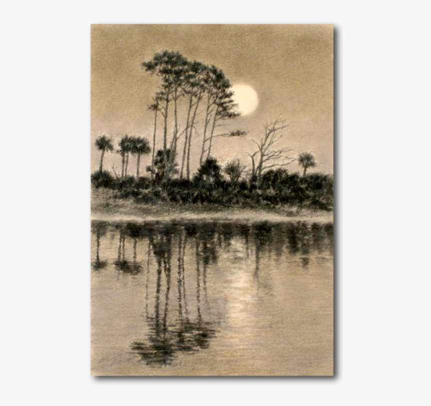 American Pitch Pine, HD Png Download