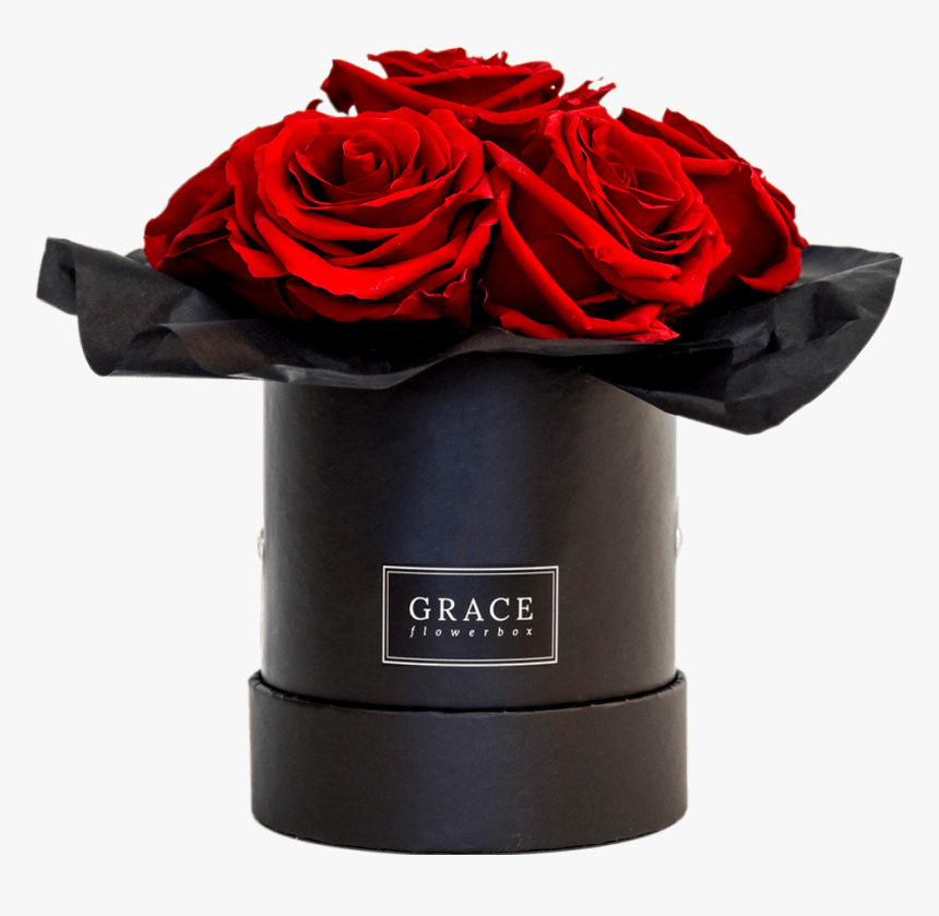 Floribunda, HD Png Download