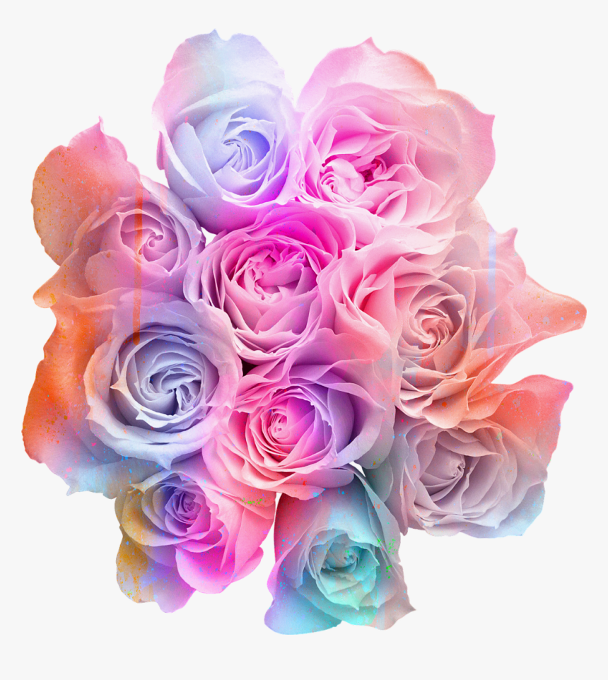 #ftestickers #flowers #roses #bouquet #colorful #rainbowcolors - Yellow Roses Transparent Background, HD Png Download