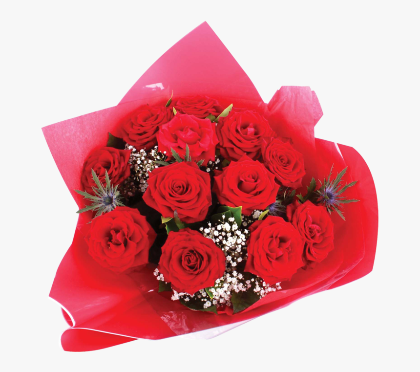 Floribunda, HD Png Download