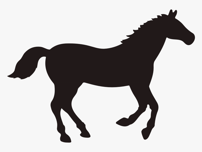 Rocky Mountain Horse Vector Graphics Clip Art Black - Horse Silhouette, HD Png Download