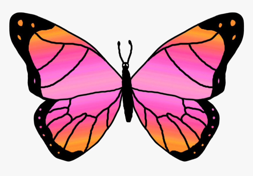 Top 84 Butterfly Clipart - Orange And Pink Butterfly, HD Png Download