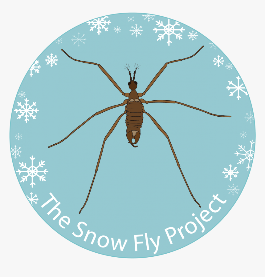 Circle Boats - Circle, HD Png Download