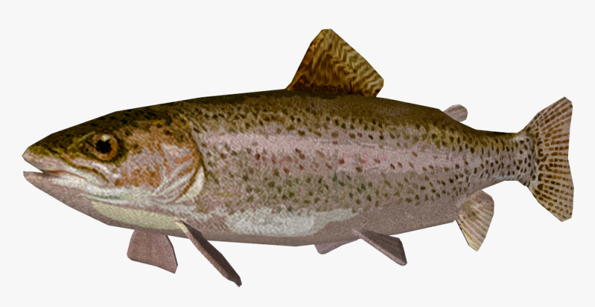Transparent Images Pluspng Rainbow - Trout Png, Png Download