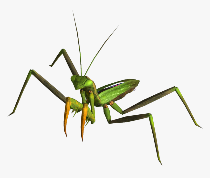 Mantis Png - Fallout New Vegas, Transparent Png