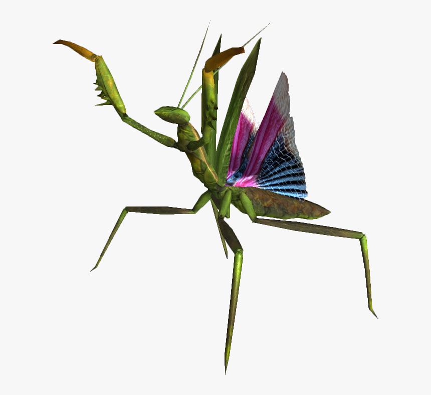 Mantis Png Picture - Fnv Mantis, Transparent Png