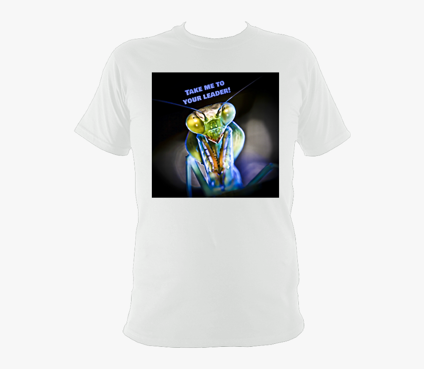 Yoda, HD Png Download