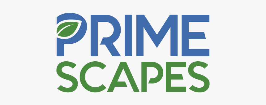 Prms Logo Design Portfolio - Graphic Design, HD Png Download