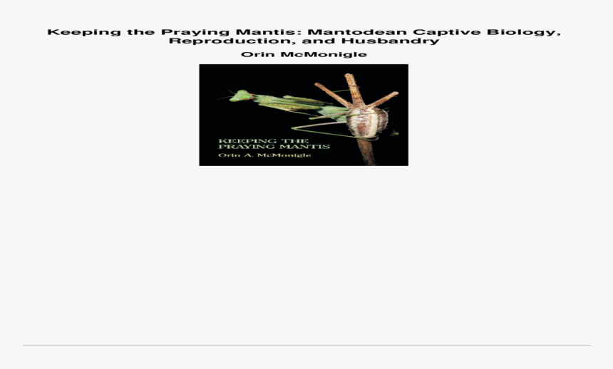 Keeping The Praying Mantis Mantodean Captive Biology - Mosquito, HD Png Download