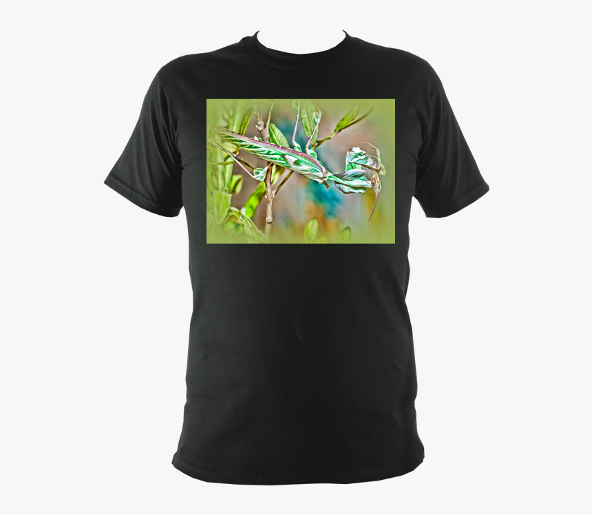 T-shirt, HD Png Download