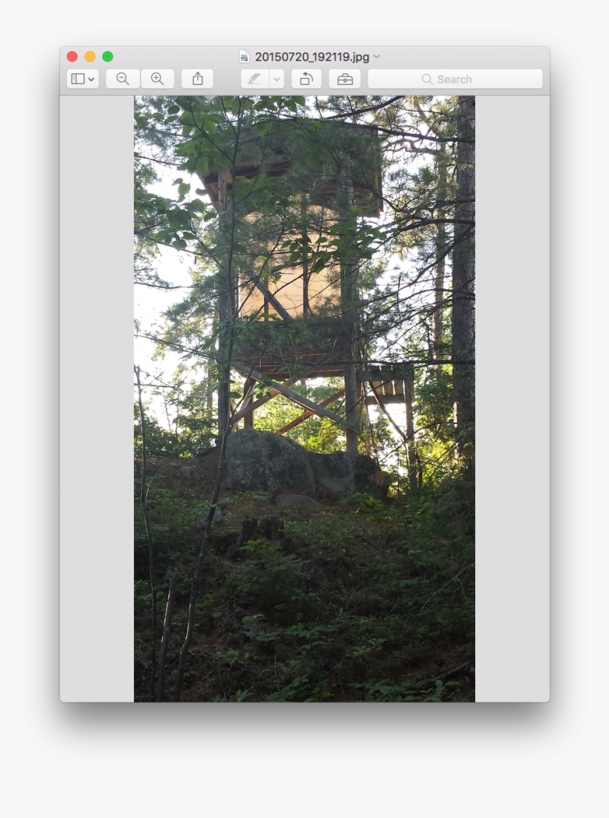 Spruce-fir Forest, HD Png Download