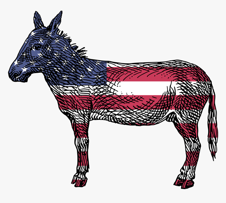 America, Democrats, Ass, Democratic, Donkey, Flag, - Reasons To Vote For Democrats Book, HD Png Download