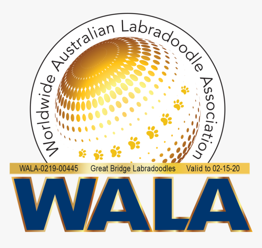Great Bridge Wala Logo 0219 00445, HD Png Download