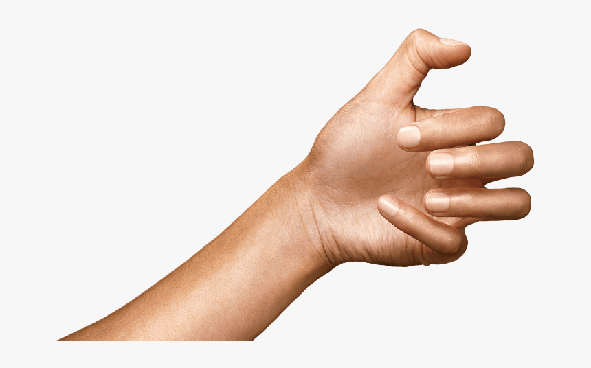 Human, HD Png Download