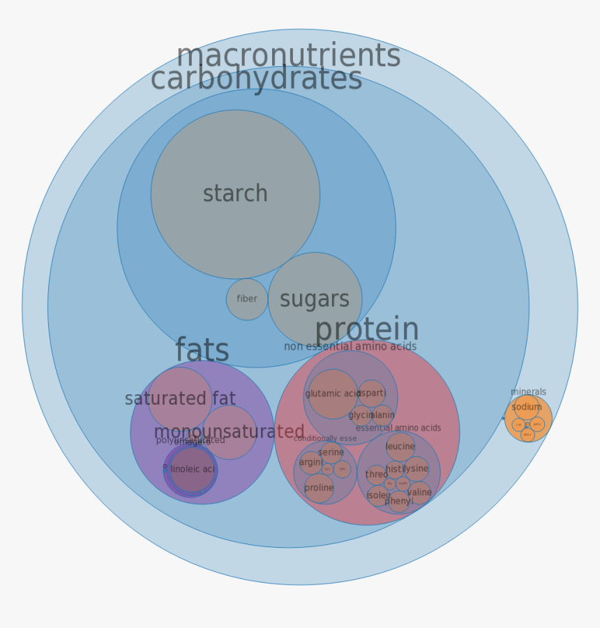 Circle, HD Png Download