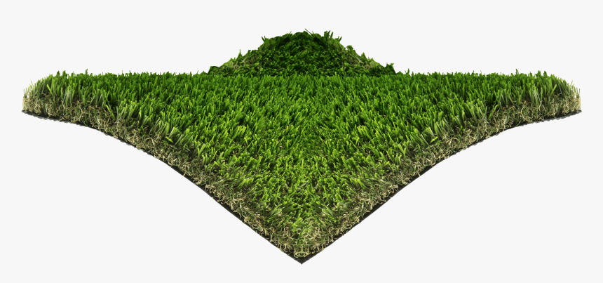 Hedge, HD Png Download