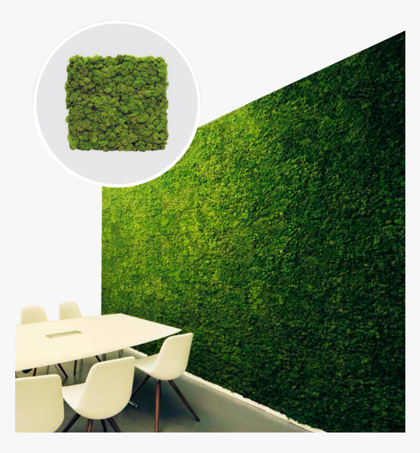 Moss Texture Png, Transparent Png