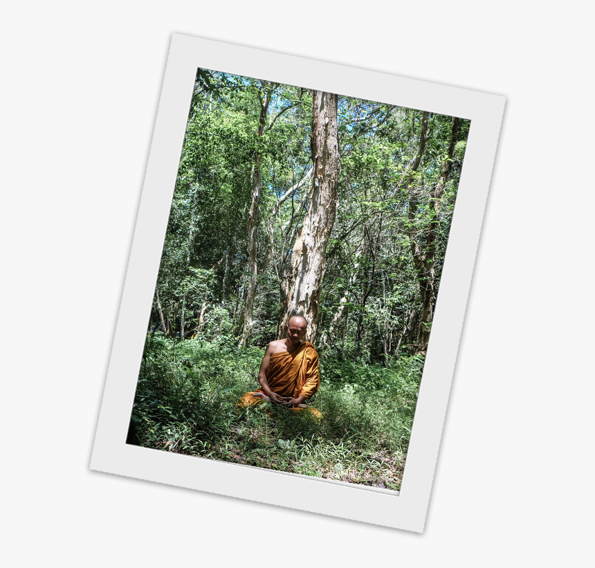 Grove, HD Png Download