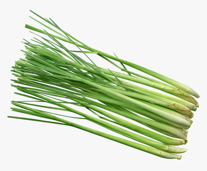Lemon Grass Hd Png, Transparent Png