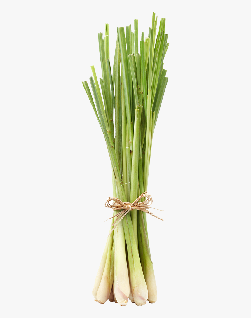 Lemongrass Bunch, HD Png Download