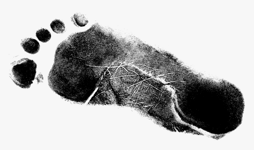 Portable Network Graphics, HD Png Download