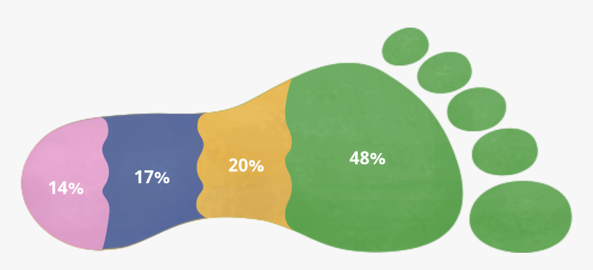 Graph Of Causes Of
 Vancouver S Ecological Footprint - Ecology Footprint, HD Png Download