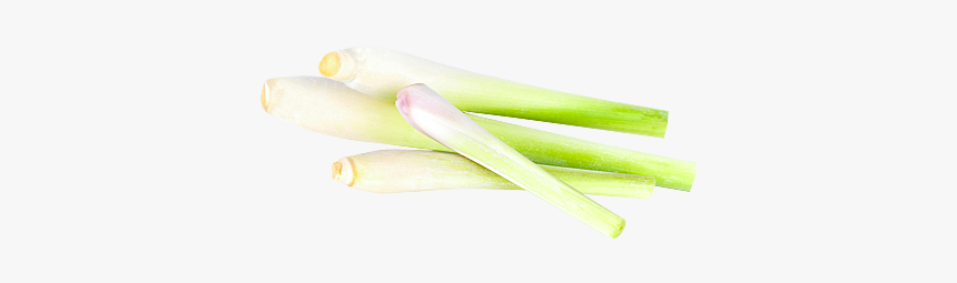 Welsh Onion, HD Png Download