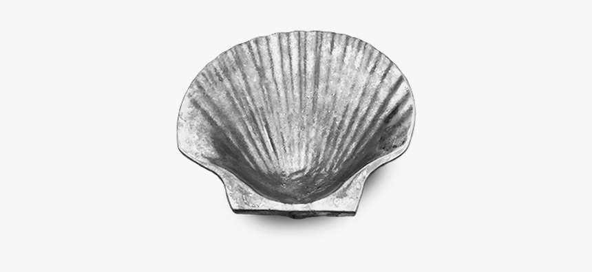 Baltic Clam, HD Png Download