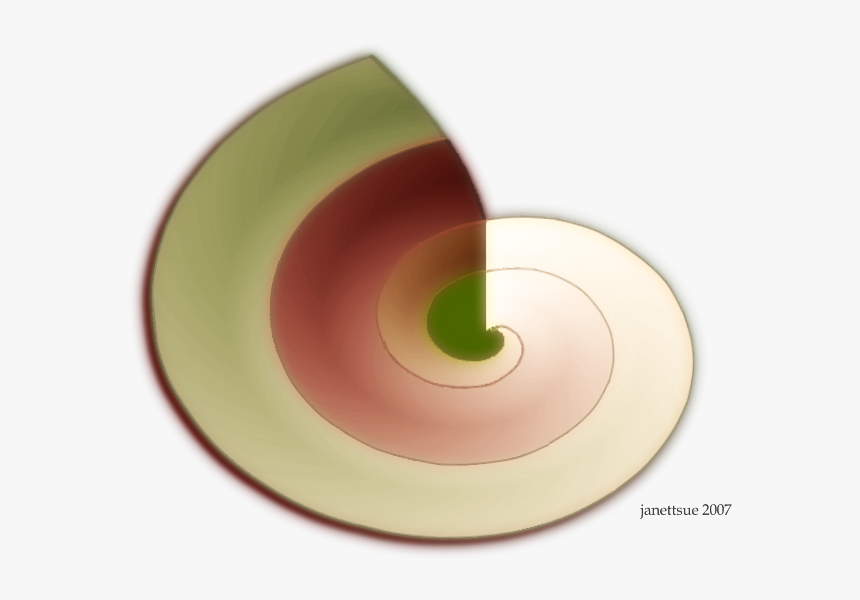 Seashell3 - Circle, HD Png Download
