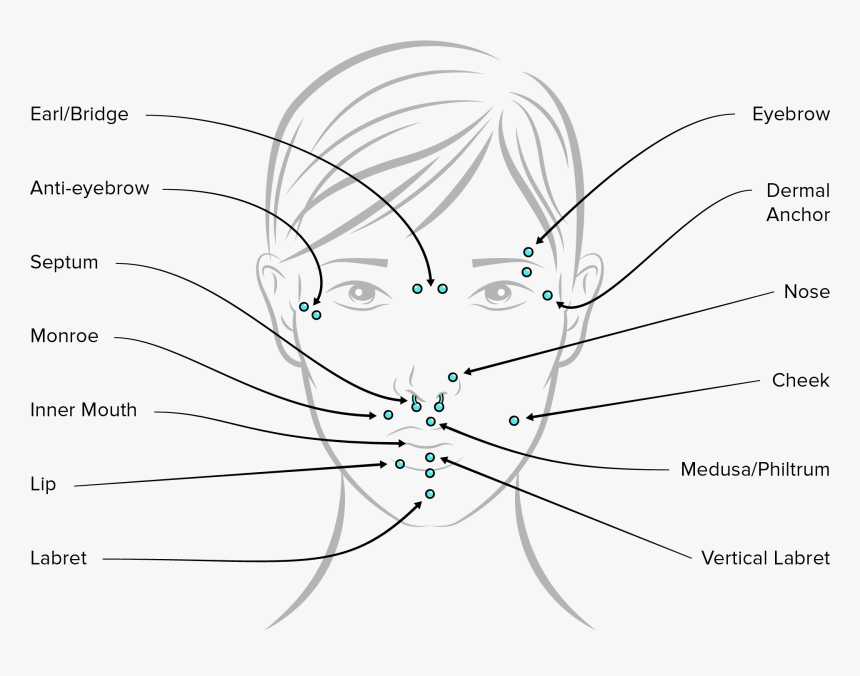 Piercing Face - Chronic Ink Piercing Prices, HD Png Download