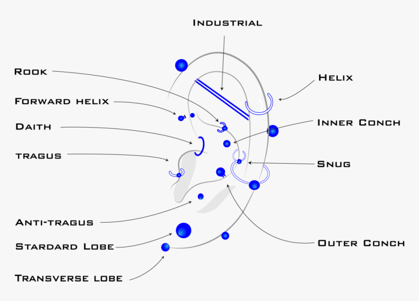 Circle, HD Png Download