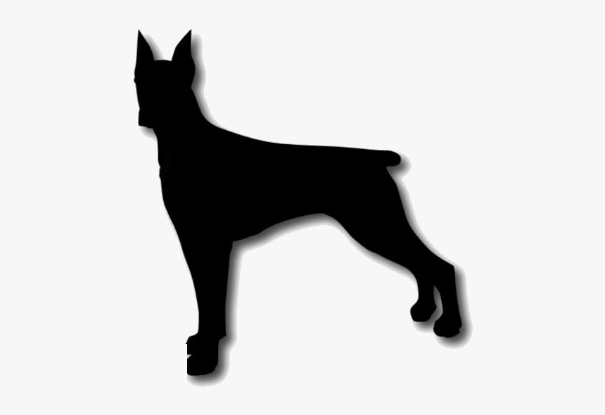 Transparent Doberman Png Clipart Free Download - Dobermann, Png Download