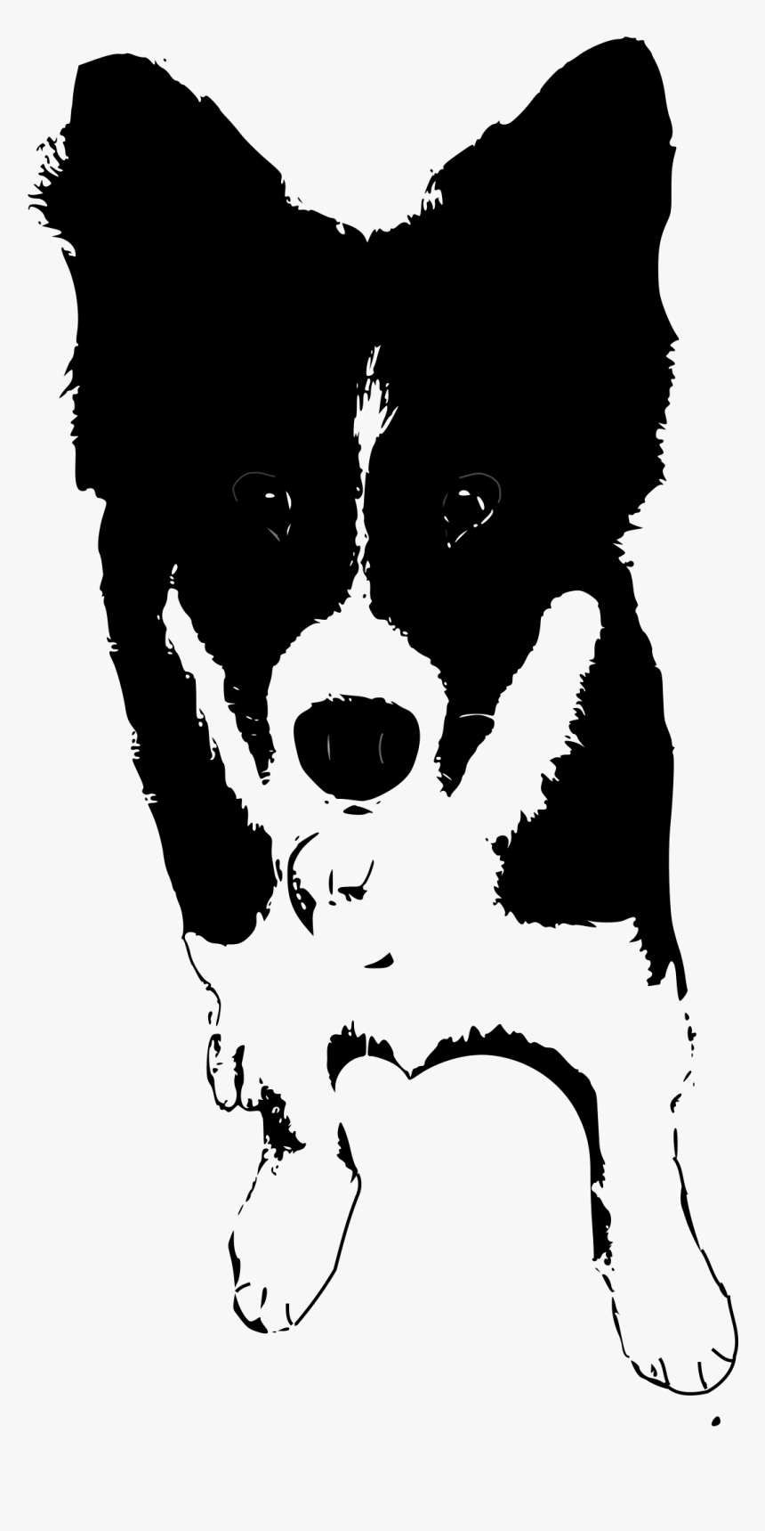Border Collie Rough Collie Puppy Clip Art - Dogs Clipart Black And White Collie, HD Png Download