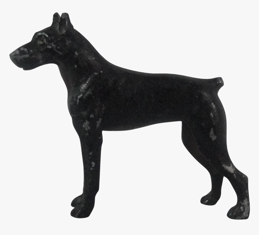 Miniature Schnauzer Giant Schnauzer Miniature Pinscher - Algerian Dog, HD Png Download