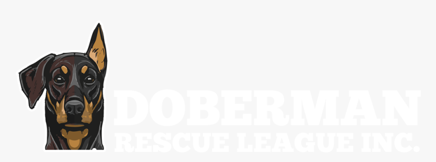 Doberman Rescue League, HD Png Download