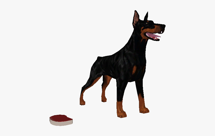 Download Zip Archive - Dobermann, HD Png Download
