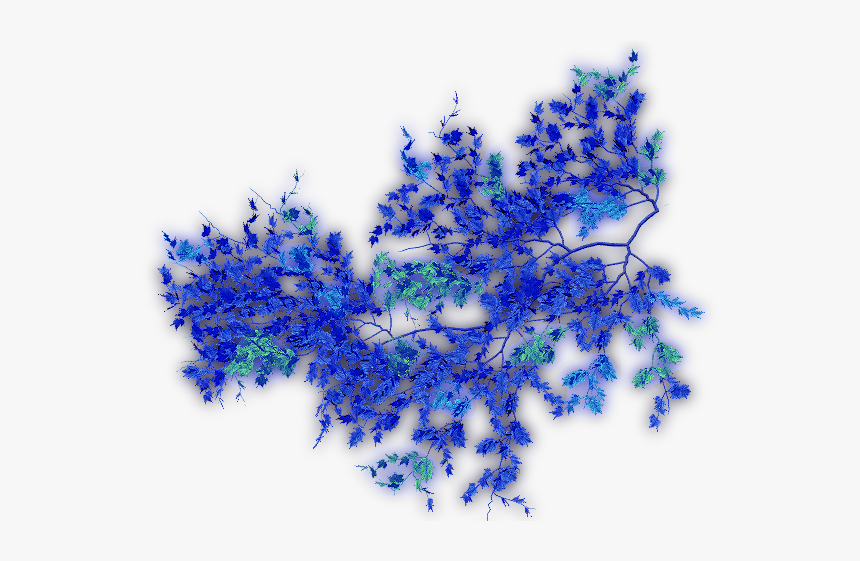 Virginia Creeper Png, Transparent Png