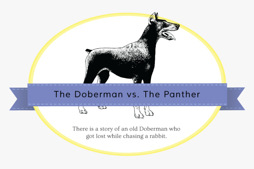 Doberman-panther - Miniature Schnauzer, HD Png Download