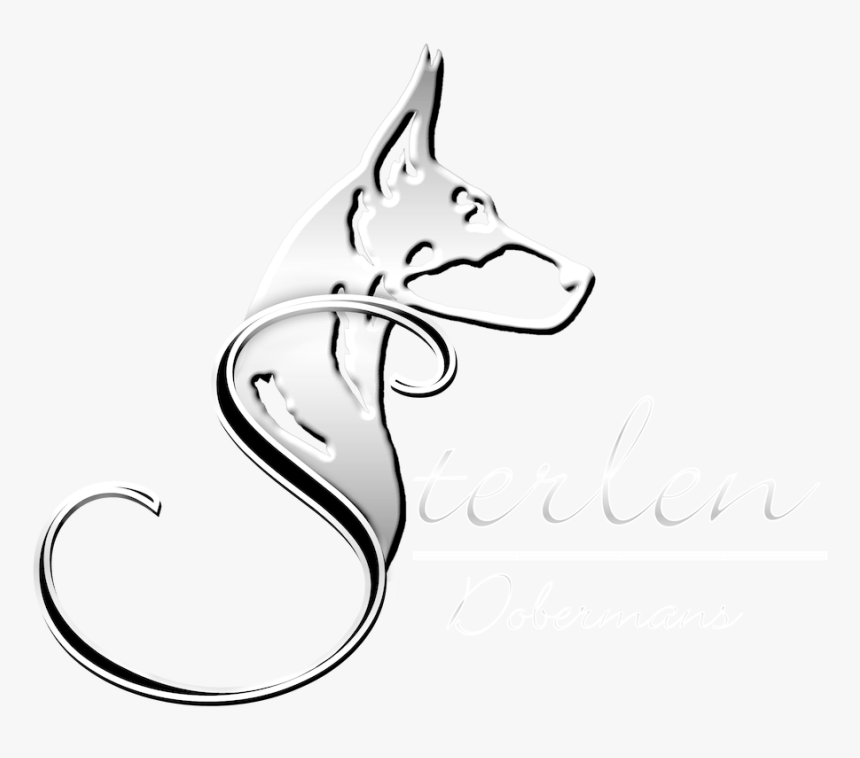 Czechoslovakian Wolfdog, HD Png Download