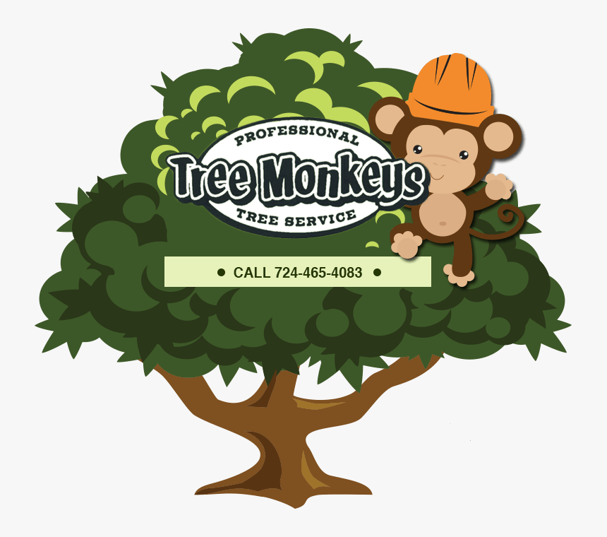 Tree Monkey Tree Service - Green Monkey Tree Service, HD Png Download