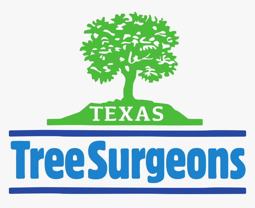 Tree, HD Png Download