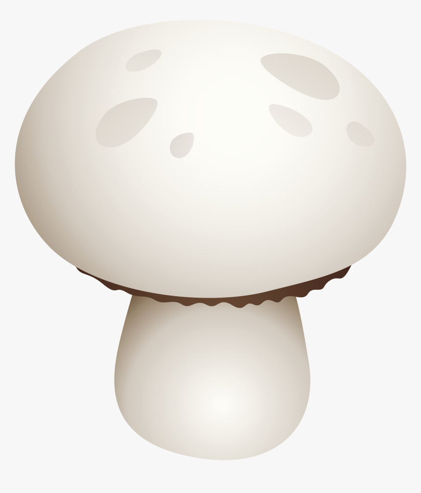 White Mushroom Png Clipart - White Mushroom Png, Transparent Png